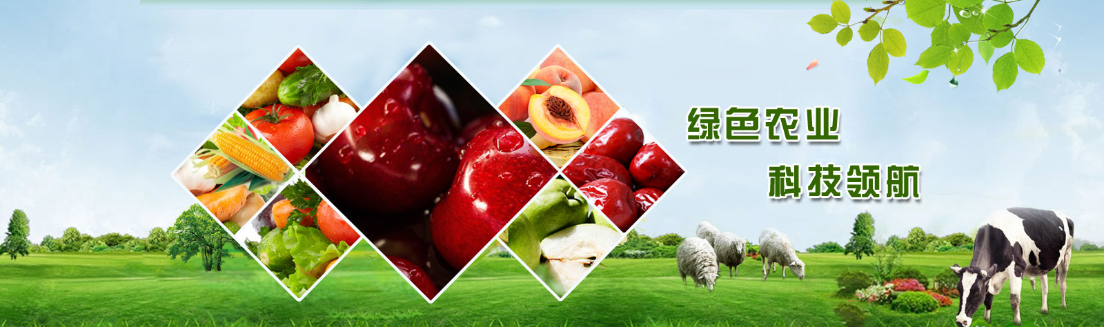 �τ�(chu��ng)�a(ch��n)�I(y��)�r(n��ng)�I(y��)